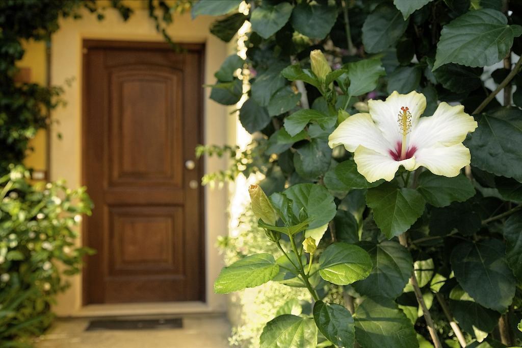 Hotel Bv Borgo Del Principe Zambrone Esterno foto